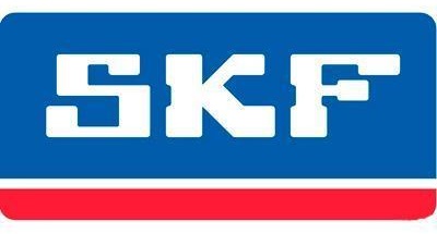 SKF.jpg