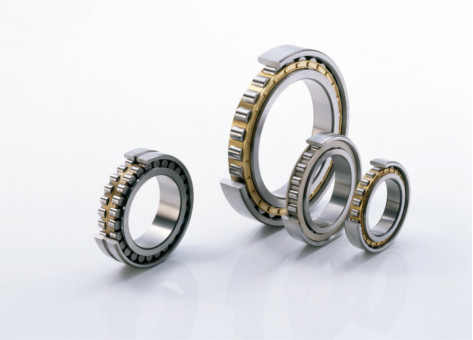 Schaeffler0000547Bsl