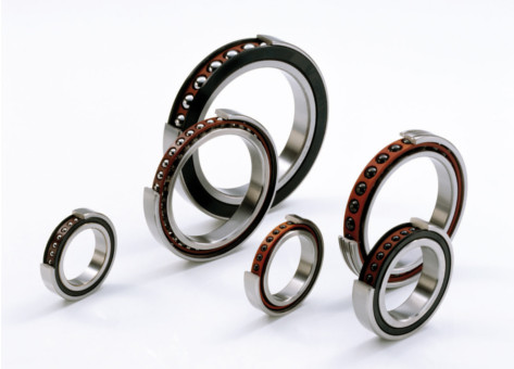 Schaeffler00005497sl