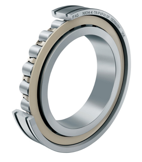 Schaeffler00016196sl