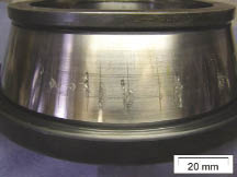 Fig-4_opt